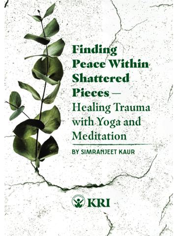 Cover of Finding Peace Within Shattered Pieces