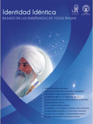 Cover of Identidad Idéntica